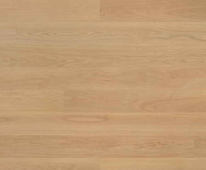 cavendish-light-sample-a_1574348443