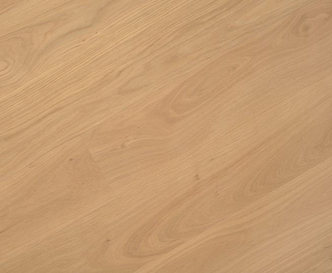 cavendish-light-sample-b_1574348451