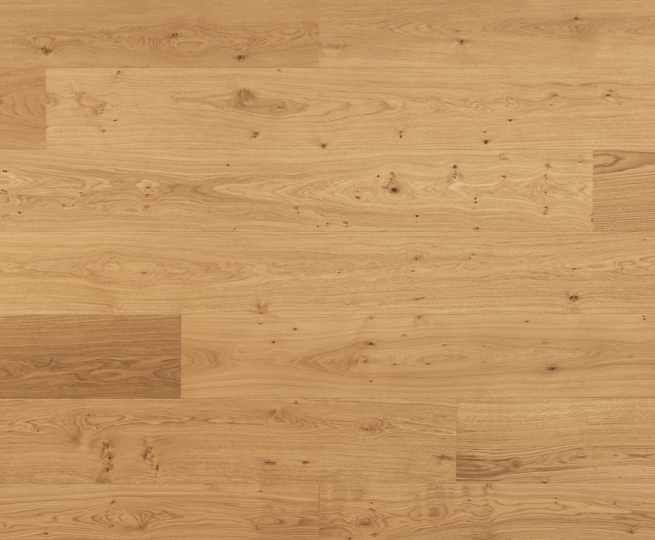 cinnamon-sample-a_1574350465